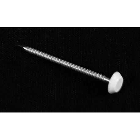 Pointes INOX 5 cm tête Blanche pour planches de rive à clouer