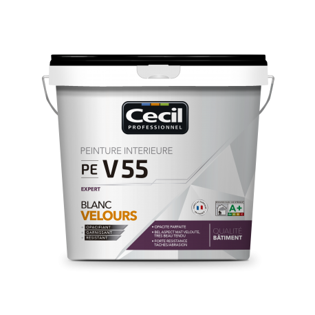 BLANC FINITION EXPERT VELOURS - PE V55 10L