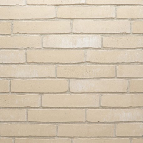 Brique ECO-BRICK Pleine WF Amfora