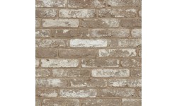 Brique ECO-BRICK Pleine Avolto