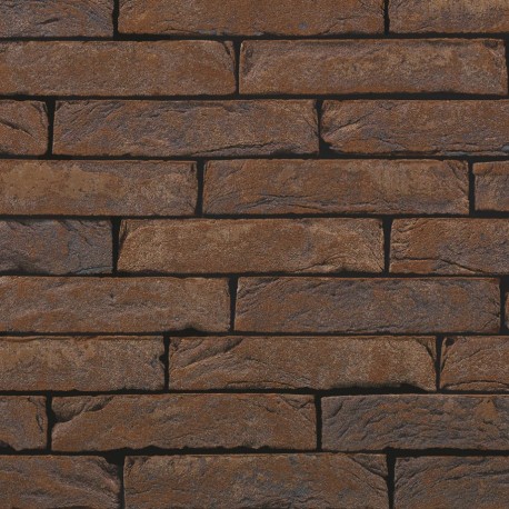 Brique ECO-BRICK Pleine Pagus Iluzo