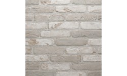 Brique ECO-BRICK Pleine Rustica