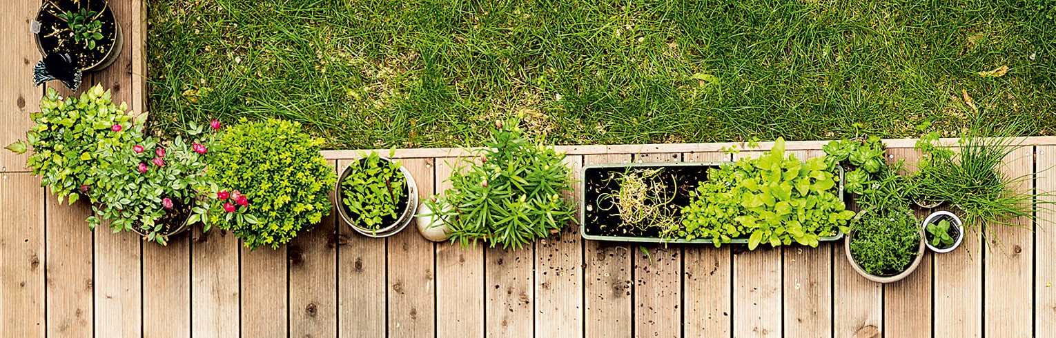 Environnement-Aménagement Extérieur-Pierre Naturelle